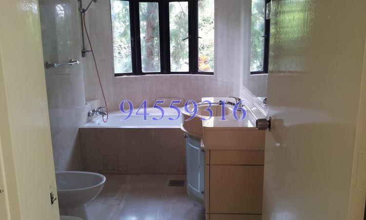 The Balmoral (D10), Condominium #155475722